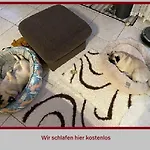 Stadt-gut-hotel Rheinischer Hof فندق