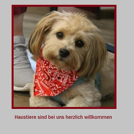 Stadt-gut-hotel Rheinischer Hof 3* Essen