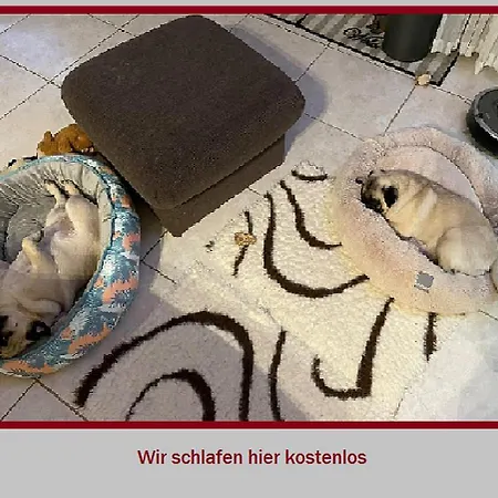 Stadt-gut-hotel Rheinischer Hof Hotel