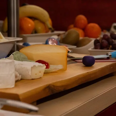 酒店 斯塔德加特雷尼施霍夫酒店 3*