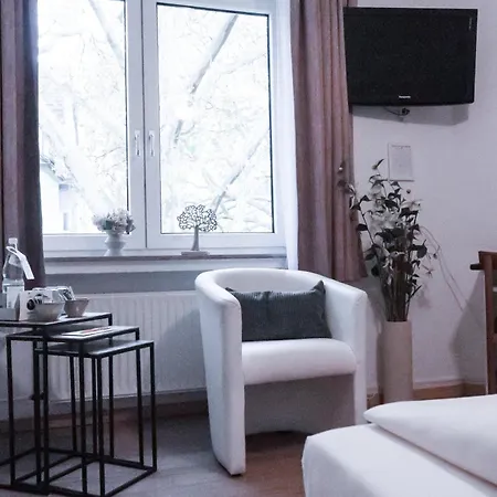 Hotel Stadt-gut-hotel Rheinischer Hof 3*