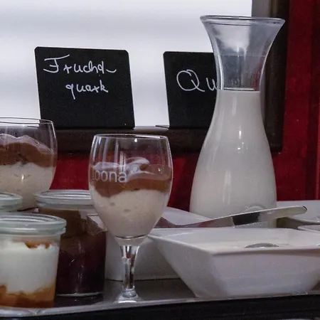 酒店 斯塔德加特雷尼施霍夫酒店 3*