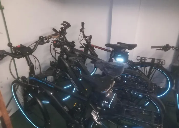 호텔 Stadt-gut-hotel Rheinischer Hof