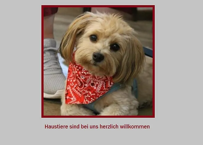 Stadt-gut-hotel Rheinischer Hof 3* 에센