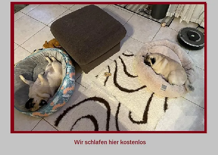 Stadt-gut-hotel Rheinischer Hof 호텔