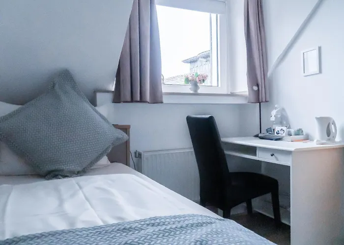 호텔 Stadt-gut-hotel Rheinischer Hof